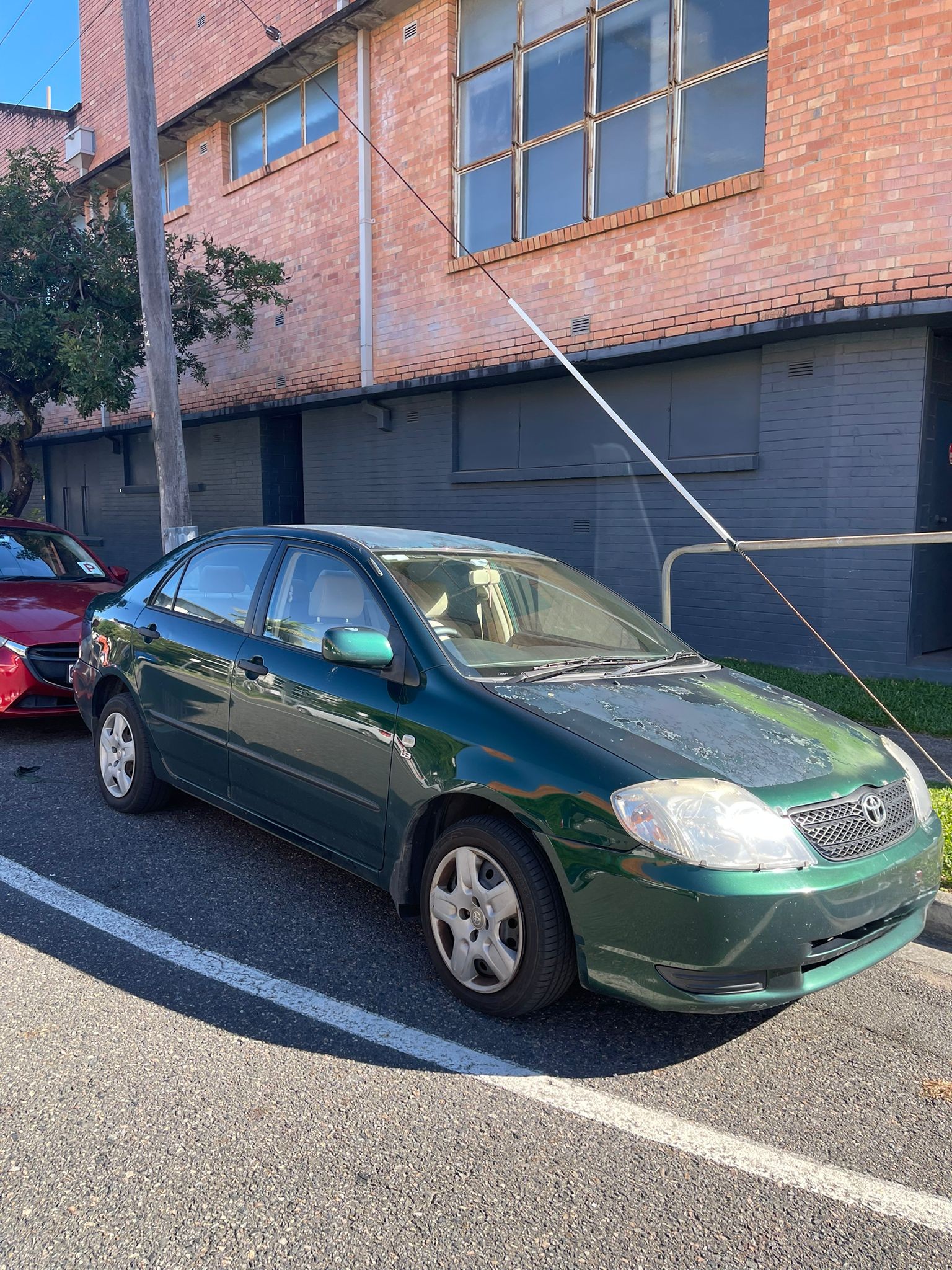 Toyota Corolla 2002 - Green